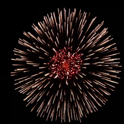 200mm Silberweide, Rot Zentrum