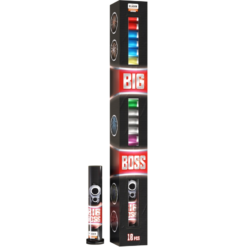 Big Boss_CS2BB