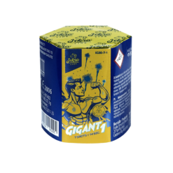 Gigant 1_IC20-7-1