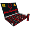 Big Bang 2g_278