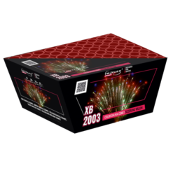 Color dahlia comet to sizzling willow V_XB2003